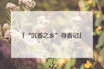 “沉香之乡”寻香记