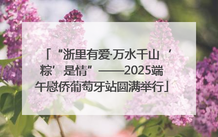 “浙里有爱·万水千山‘粽’是情”——2025端午慰侨葡萄牙站圆满举行