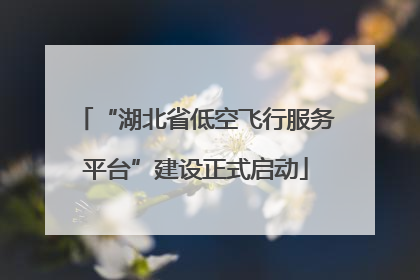 “湖北省低空飞行服务平台”建设正式启动