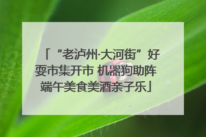 “老泸州·大河街”好耍市集开市 机器狗助阵端午美食美酒亲子乐
