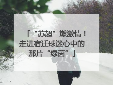 “苏超”燃激情！走进宿迁球迷心中的那片“绿茵”