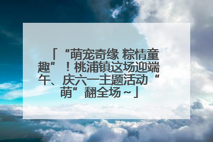 “萌宠奇缘 粽情童趣”！桃浦镇这场迎端午、庆六一主题活动“萌”翻全场～