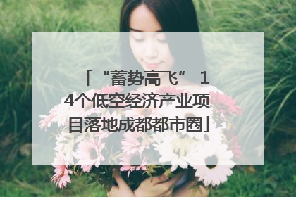 “蓄势高飞” 14个低空经济产业项目落地成都都市圈