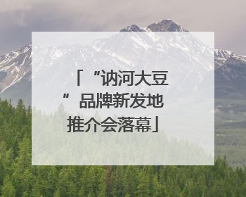 “讷河大豆”品牌新发地推介会落幕
