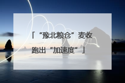 “豫北粮仓”麦收跑出“加速度”