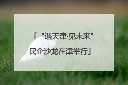“遇天津·见未来”民企沙龙在津举行
