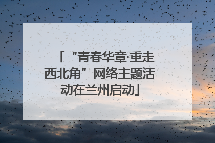 “青春华章·重走西北角”网络主题活动在兰州启动