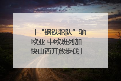 “钢铁驼队”驰欧亚 中欧班列加快山西开放步伐