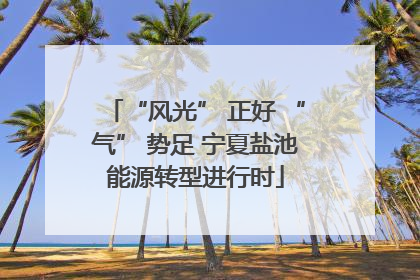 “风光” 正好 “气” 势足 宁夏盐池能源转型进行时