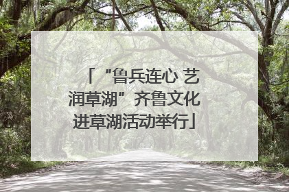 “鲁兵连心 艺润草湖”齐鲁文化进草湖活动举行
