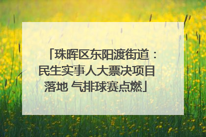 珠晖区东阳渡街道：民生实事人大票决项目落地 气排球赛点燃
