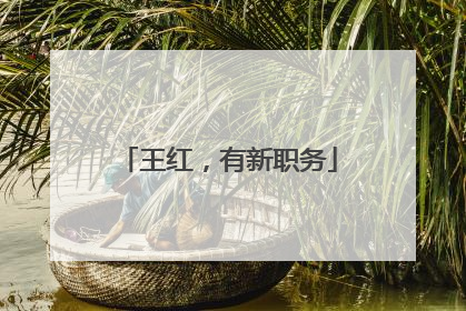 王红，有新职务