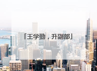 王学勤，升副部