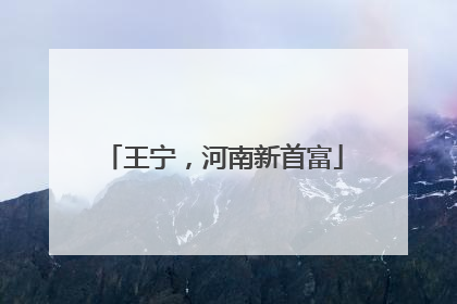 王宁，河南新首富