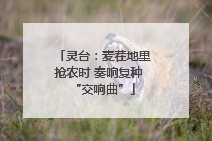 灵台：麦茬地里抢农时 奏响复种“交响曲”