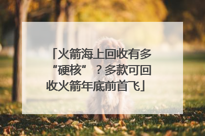 火箭海上回收有多“硬核”？多款可回收火箭年底前首飞