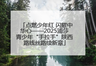 点燃少年红 闪耀中华心——2025浦莎青少年“手拉手”陕西路线丝路续新章