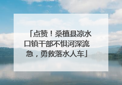 点赞！桑植县凉水口镇干部不惧河深流急，勇救落水人车