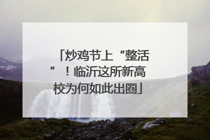 炒鸡节上“整活”！临沂这所新高校为何如此出圈