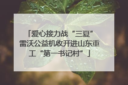 爱心接力战“三夏” 雷沃公益机收开进山东重工“第一书记村”