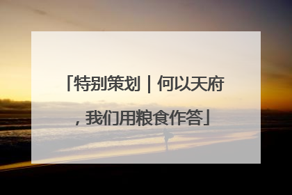 特别策划｜何以天府，我们用粮食作答