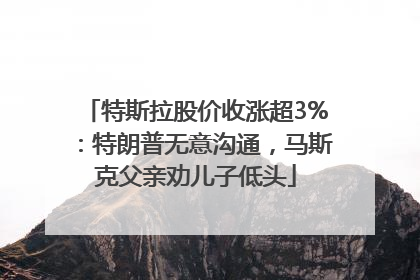 特斯拉股价收涨超3%：特朗普无意沟通，马斯克父亲劝儿子低头