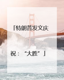 特朗普发文庆祝：“大胜”