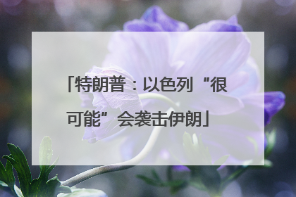 特朗普：以色列“很可能”会袭击伊朗