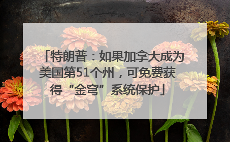 特朗普：如果加拿大成为美国第51个州，可免费获得“金穹”系统保护