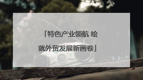 特色产业领航 绘就外贸发展新画卷