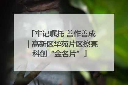 牢记嘱托 善作善成｜高新区华苑片区擦亮科创“金名片”