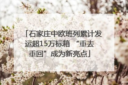 石家庄中欧班列累计发运超15万标箱 “重去重回”成为新亮点