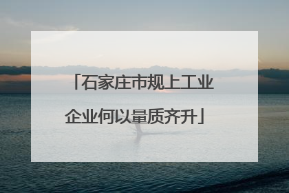 石家庄市规上工业企业何以量质齐升
