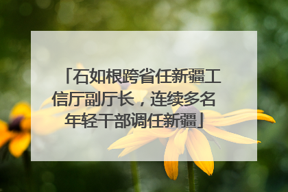 石如根跨省任新疆工信厅副厅长，连续多名年轻干部调任新疆