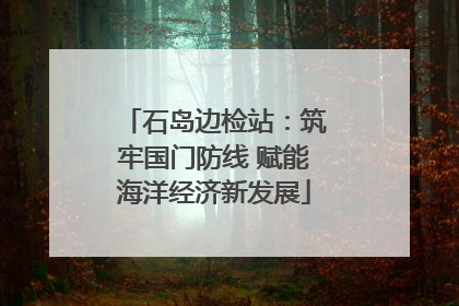 石岛边检站：筑牢国门防线 赋能海洋经济新发展