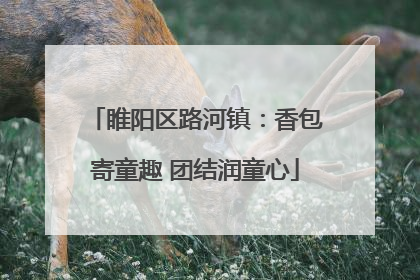 睢阳区路河镇：香包寄童趣 团结润童心