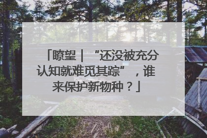 瞭望｜“还没被充分认知就难觅其踪”，谁来保护新物种？