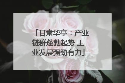 甘肃华亭：产业链群蓬勃起势 工业发展强劲有力