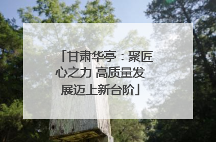 甘肃华亭：聚匠心之力 高质量发展迈上新台阶