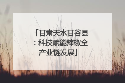 甘肃天水甘谷县：科技赋能辣椒全产业链发展