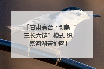 甘肃高台：创新“三长六链”模式 织密河湖管护网