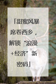 甜蜜风暴席卷西乡，解锁“浪漫+经济”新密码