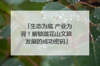 生态为底 产业为翼！解锁莲花山文旅发展的成功密码
