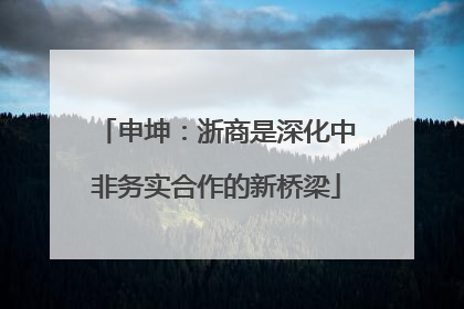 申坤：浙商是深化中非务实合作的新桥梁
