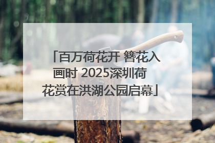 百万荷花开 簪花入画时 2025深圳荷花赏在洪湖公园启幕