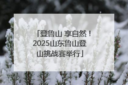 登鲁山 享自然！2025山东鲁山登山挑战赛举行
