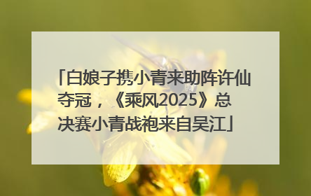 白娘子携小青来助阵许仙夺冠，《乘风2025》总决赛小青战袍来自吴江