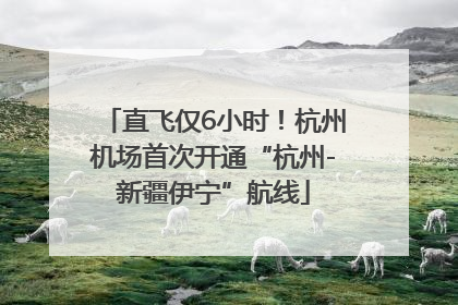 直飞仅6小时！杭州机场首次开通“杭州-新疆伊宁”航线
