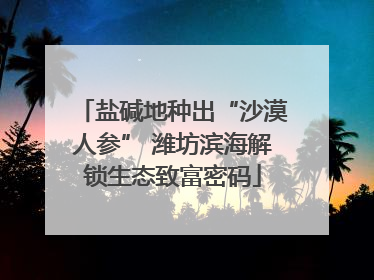 盐碱地种出“沙漠人参” 潍坊滨海解锁生态致富密码