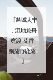 盐城大丰：湿地龙舟竞渡 艾香飘荡野鹿荡